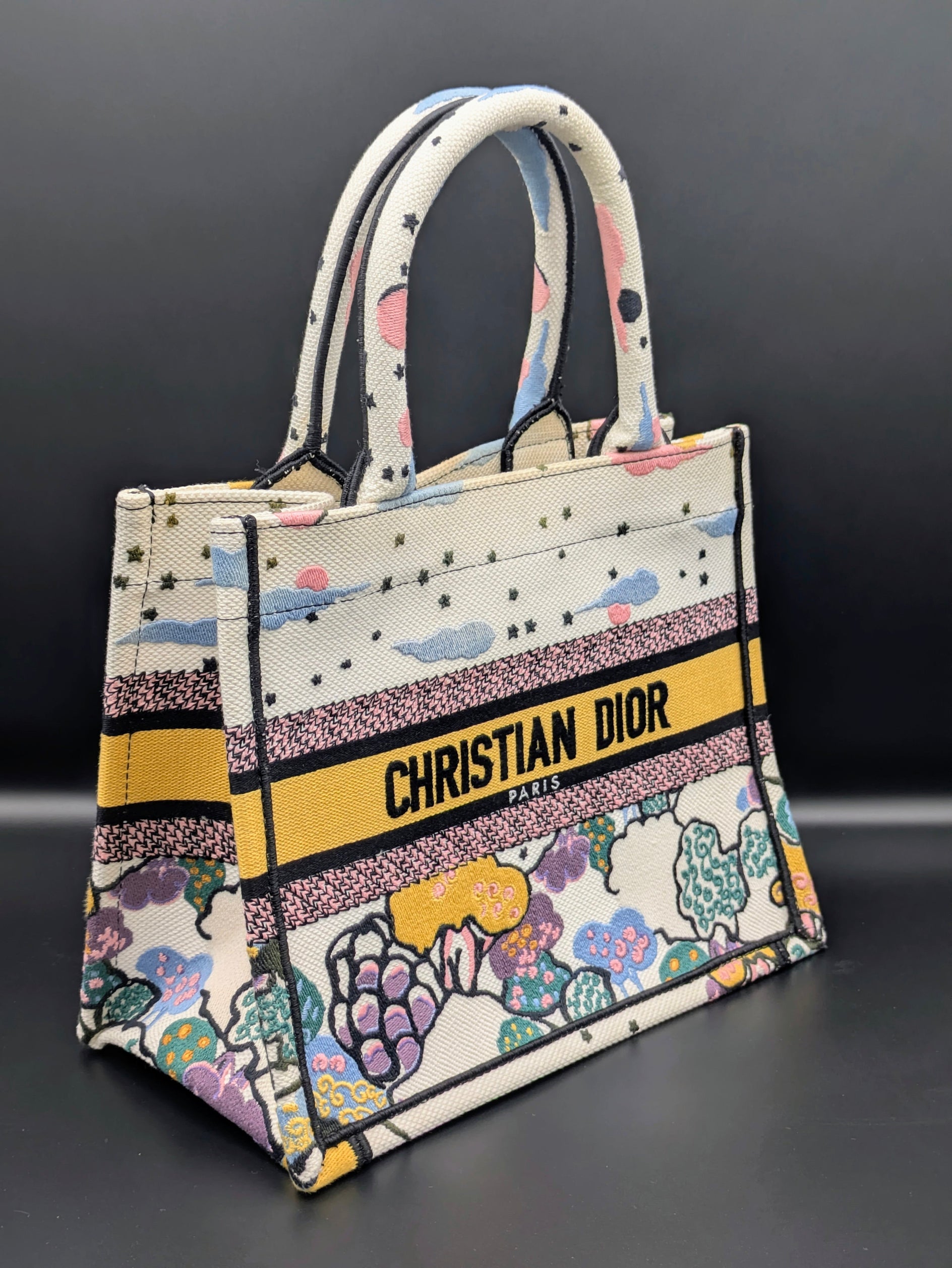 Anses du Dior Book Tote édition limitée