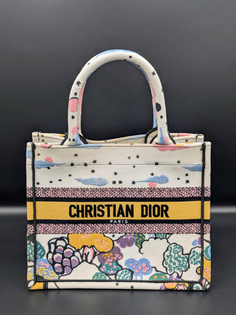 Sac Dior Book Tote édition limitée Ciel de rêve vue principale