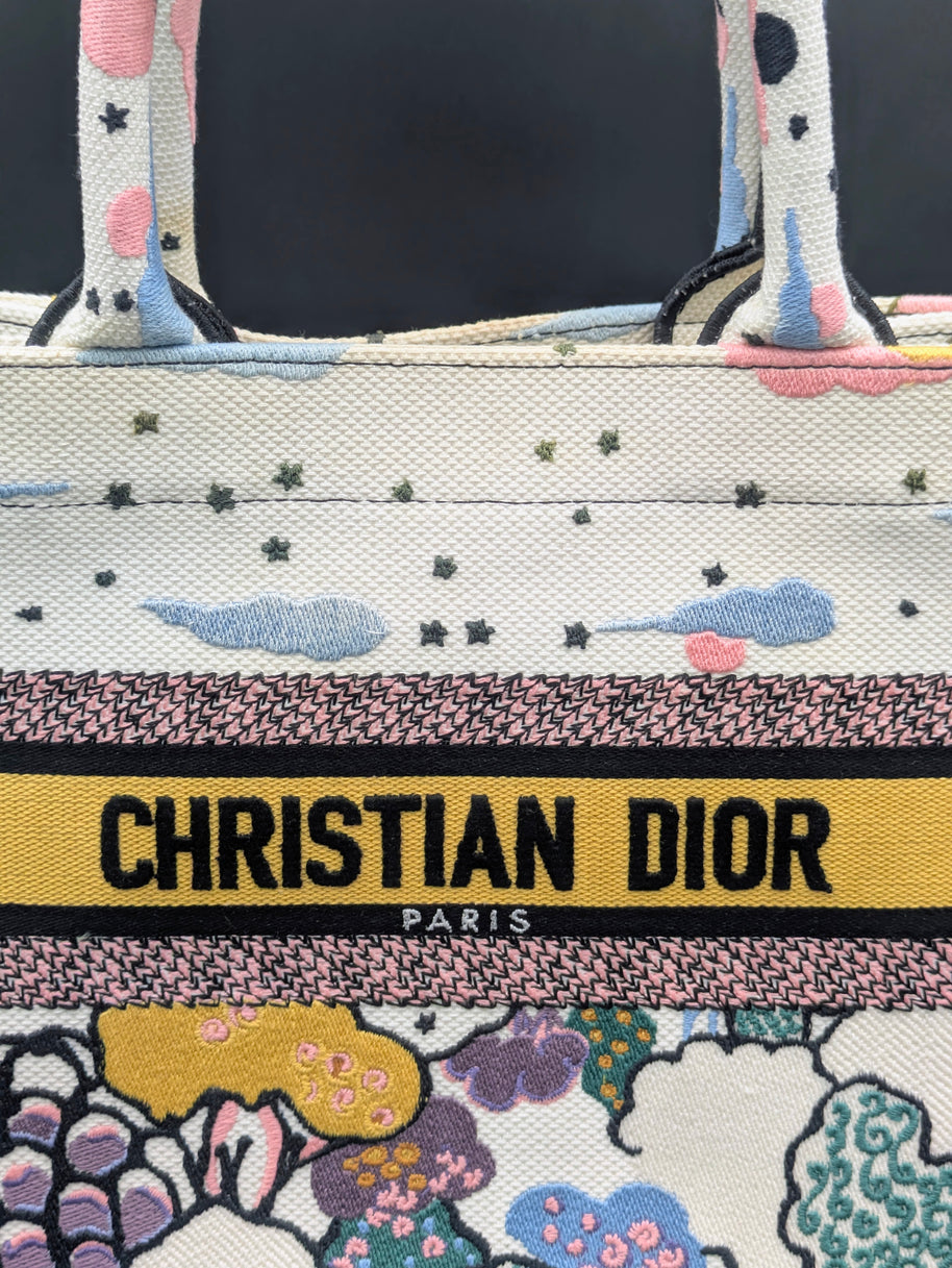 Dior Book Tote multicolore aperçu de face