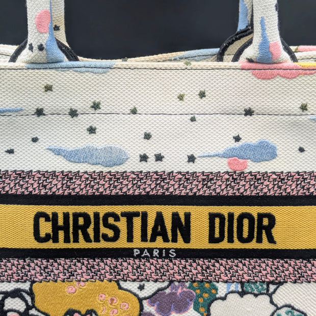 Dior Book Tote multicolore aperçu de face