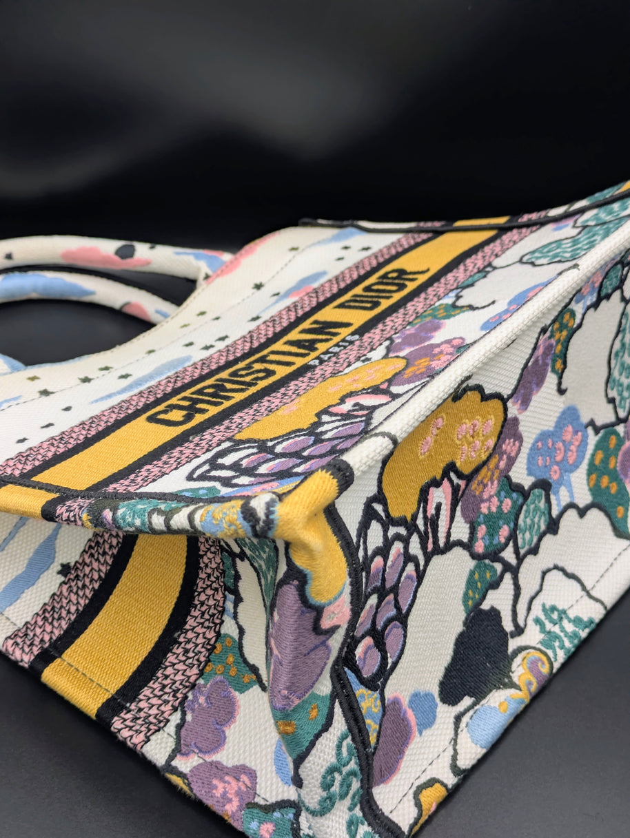 Coins du Dior Book Tote édition limitée Ciel de rêve