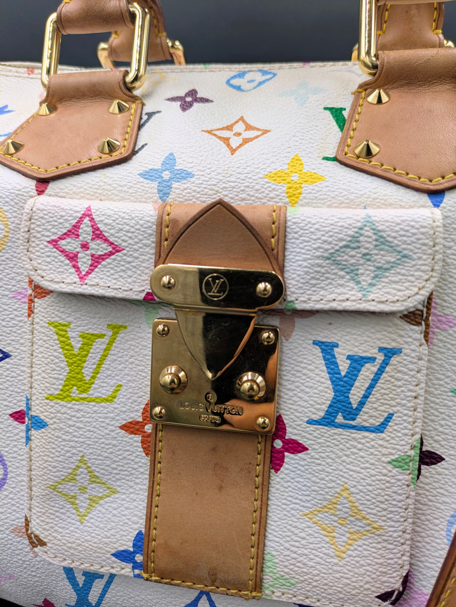 Profil du sac Louis Vuitton Speedy 30 multicolore