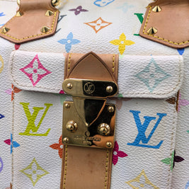 Profil du sac Louis Vuitton Speedy 30 multicolore
