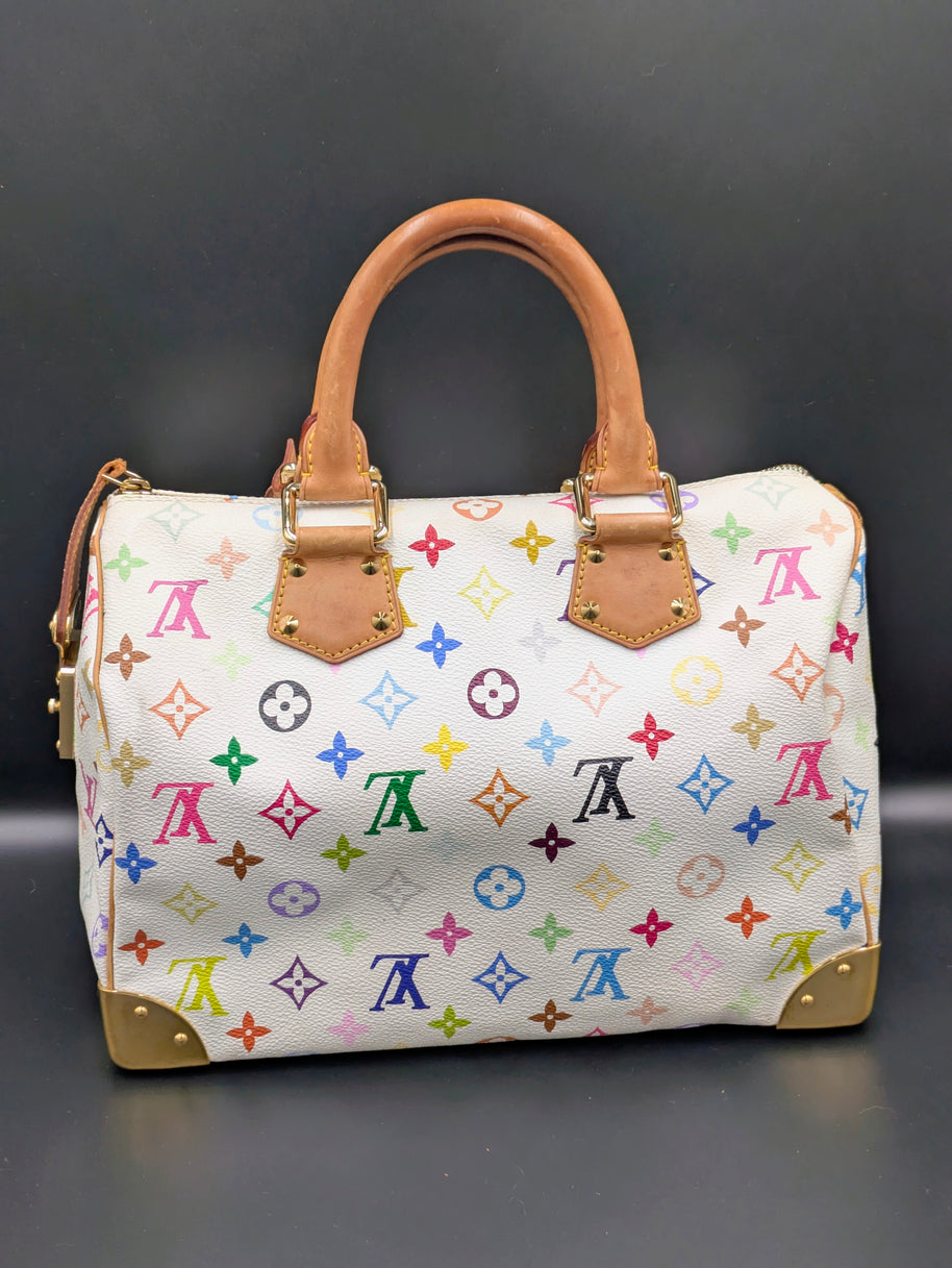 Poignées du Speedy 30 multicolore Louis Vuitton